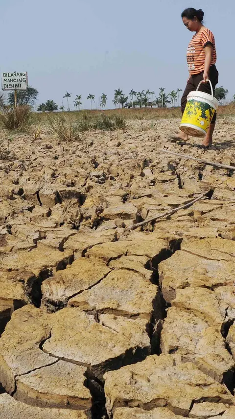 Pemerintah Akui Kurang Antisipasi Dampak El Nino di Indonesia
