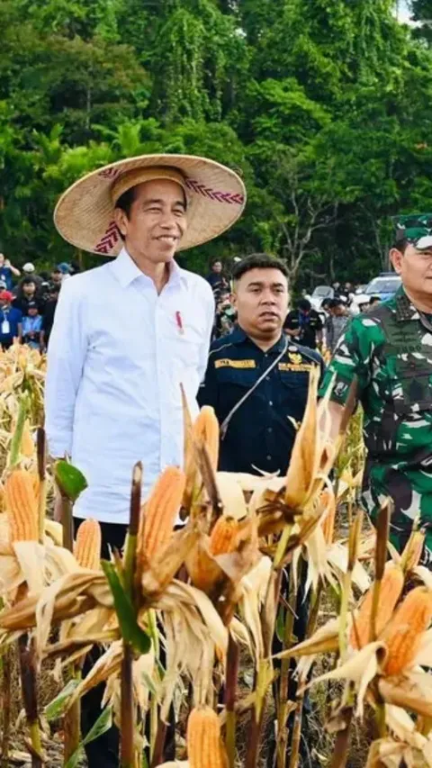 Manfaatkan Lahan Guna Secara Optimal, Pakar Pertanian Apresiasi Kebijakan Pangan dan Pertanian Era Jokowi