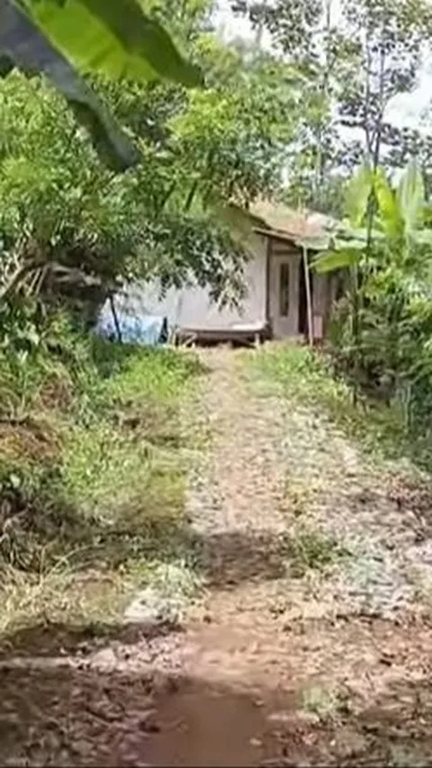 Membentengi Perkampungan dari Serangan DI/TII, Cerita Pensiunan Prajurit TNI AL Ini Sampai Sekarang Tinggal di Tengah Hutan