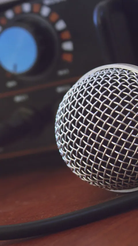 Menko Airlangga: Pemda Boleh Pungut Tarif Pajak Karaoke hingga Kelab Malam di Bawah 40 Persen