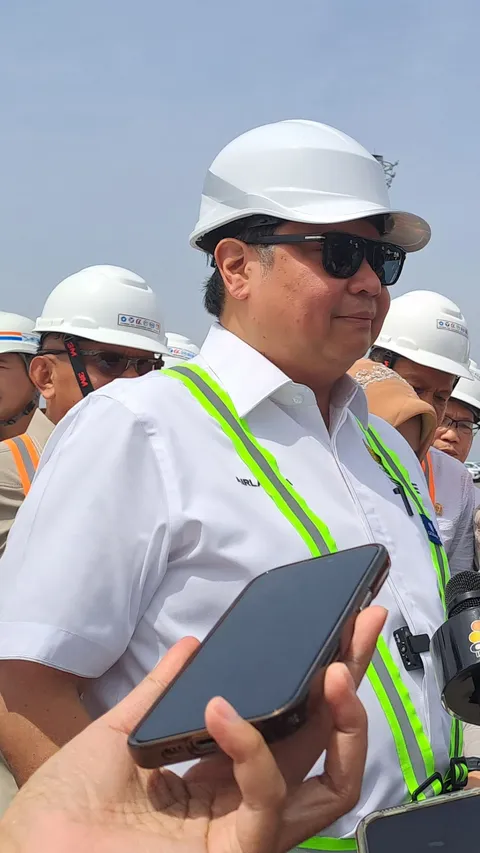 Airlangga Tinjau PSN Pelabuhan Patimban: Ditargetkan Rampung 2029 & Habiskan Investasi Rp40 Triliun