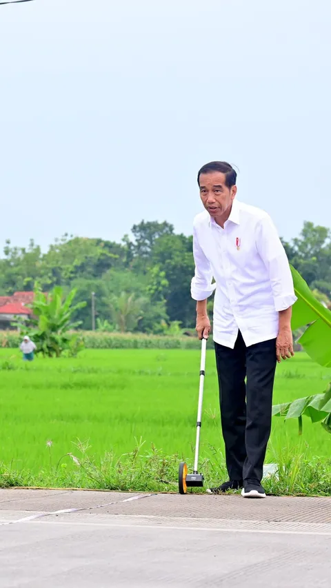 Jokowi Sebut Boleh Kampanye, Perludem Minta Publik Awasi Setiap Aktivitas Presiden