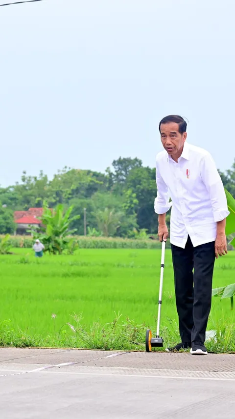 Ada Potensi Anomali Tingkat Kepuasan Publik ke Jokowi dengan Elektabilitas Prabowo-Gibran
