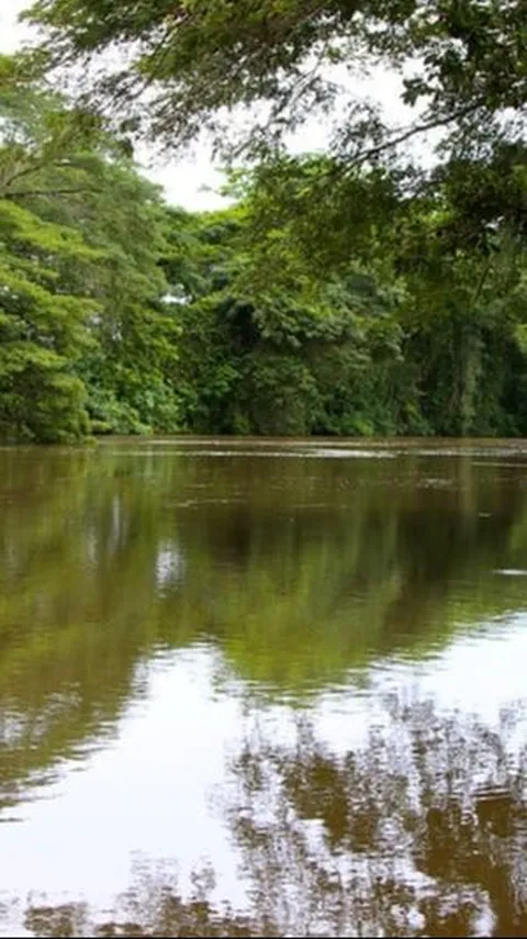 Batu Bergambar Wajah Manusia Berusia 2.000 Tahun Muncul dari Sungai Amazon, Begini Wujudnya
