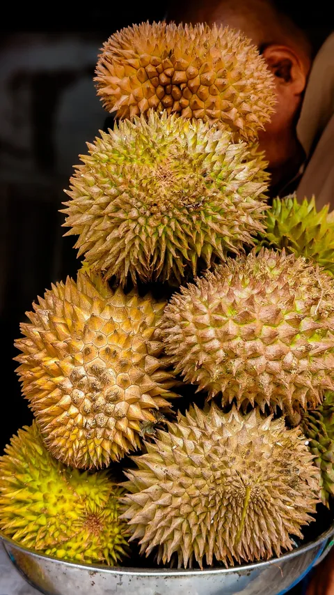 Panen Ratusan Biji Tiap Hari! Serunya Berwisata ke Kebun Durian Bawor  Pati, Jumlah Pohonnya Capai Seribu