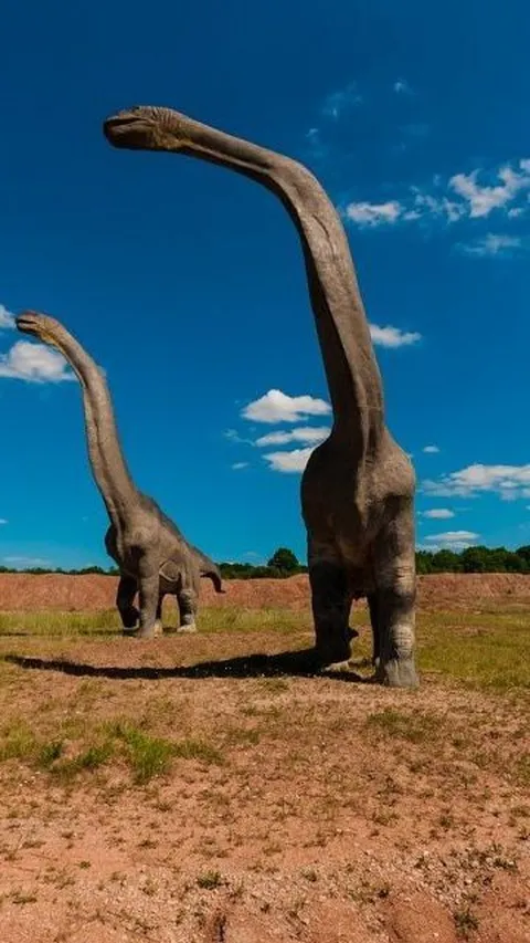 Ilmuwan Temukan Spesies Baru Dinosaurus Berleher Panjang, Hidup 86 Juta Tahun Lalu