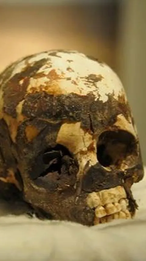 Arkeolog Temukan Mumi Anak Tertua di Dunia, Posisinya Meringkuk & Masih Pakai Kalung dari Cangkang Telur Burung Unta