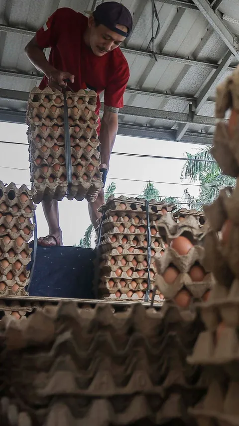 Harga Telur Ayam Naik Tajam Jelang Ramadan, Pedagang Khawatir Pelanggan Kabur
