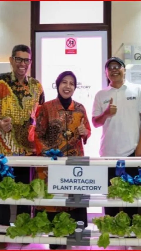 Dukung Pertanian Modern Berkelanjutan, UGM Luncurkan Teknologi Smart Agri Plant Factory