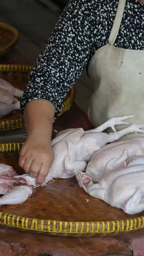 FOTO: Jelang Ramadan, Harga Daging Ayam Potong Melonjak hingga Rp45.000 per Kg