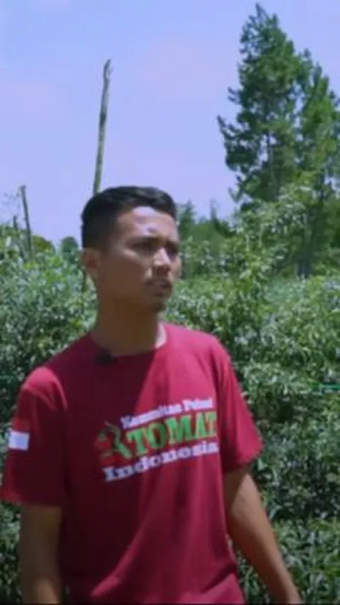 Sempat Dilarang Ortu Jadi Petani, Pria Lulusan SMK Asal Humbahas Buktikan Sukses Beli Tanah Berhektar dari Panen Cabai