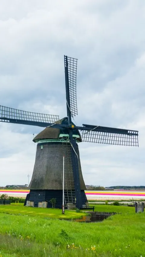 Melihat Keunikan Isi Dalam Kincir Angin, Ikon Khas Negara Belanda yang Tak Lekang oleh Waktu