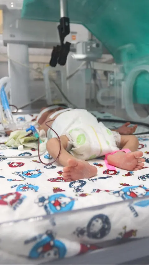 Dokter Palestina: Tentara Israel Abaikan Bayi di Rumah Sakit Sampai Meninggal dan Membusuk