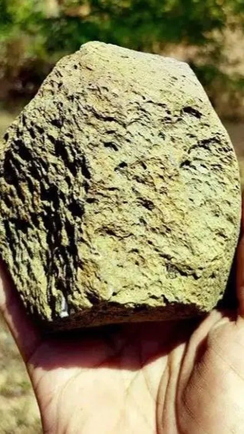 Batu Purba Ini Ungkap Sejak Kapan dan Siapa Manusia Pertama yang Tinggal di Eropa, Ini Sejarahnya