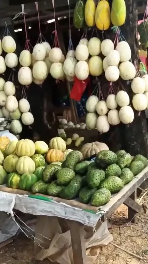 Desa Sriamur Jadi Lokasi Wisata Timun Suri di Bekasi saat Ramadan, Ini Sederet Daya Tariknya