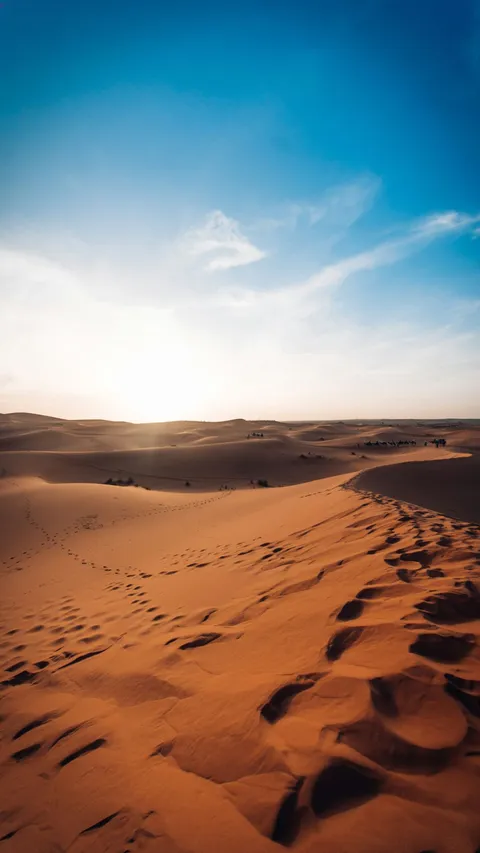 Fakta Gurun Sahara yang Panas, Ternyata Pernah Menjadi Lautan!