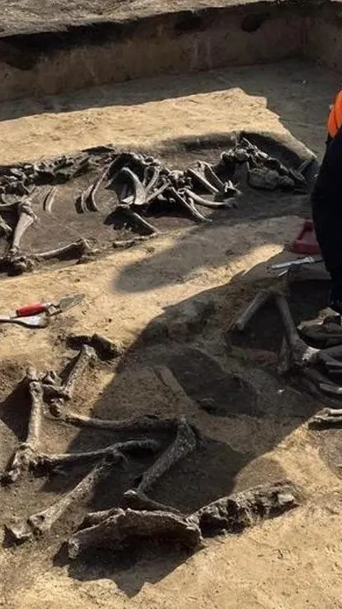 Arkeolog Temukan Tulang-Belulang Berusia 6.000 Tahun di Lokasi Pembangunan Pabrik Intel