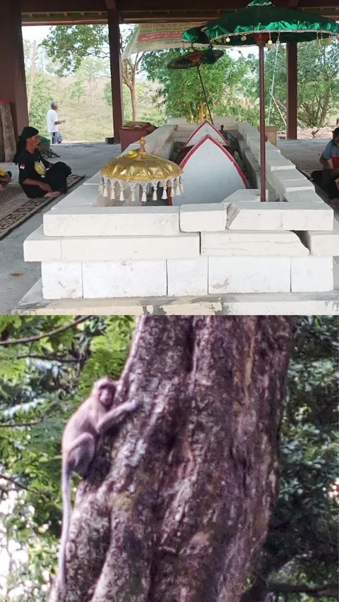 Ziarah ke Makam Nyai Andong Sari Ibu Patih Gajah Mada, Naik ke Atas Bukit Ditemani Monyet-Monyet Liar