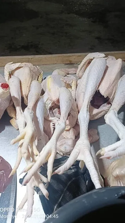 Tanpa Daun Nangka, Ini Cara Cepat Membuat Ayam Kampung yang Alot Jadi Cepat Empuk