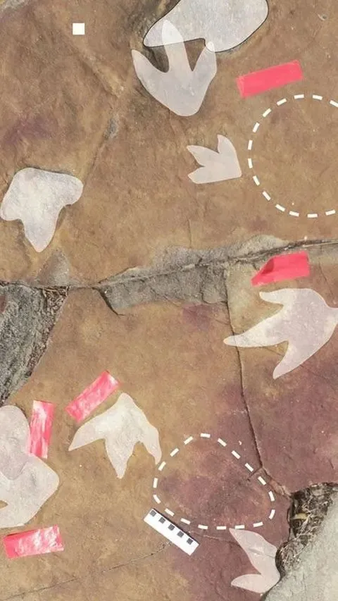 Arkeolog Temukan Gambar Misterius di Sepanjang Jejak Dinosaurus, Berasal dari 9.400 SM