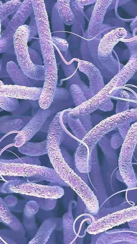 Penyebab Kolera dan Gejalanya, Ketahui Cara Mencegah Wabah Ini