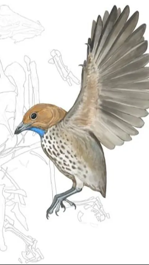 Burung Prasejarah Baru dan Aneh Ditemukan di China dengan Paruh Ompong, Begini Bentuknya
