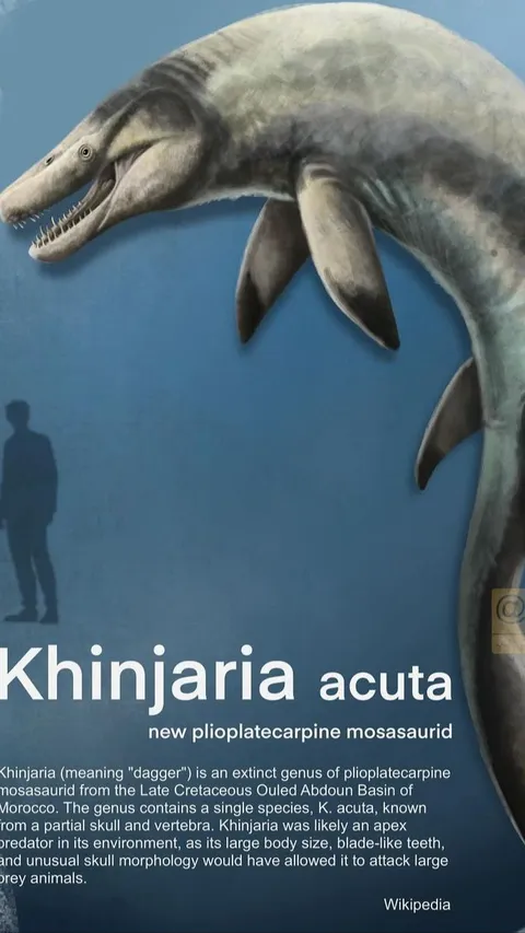 Monster Laut dari Zaman Purba Ditemukan, Mulutnya Dipenuhi Taring Setajam Belati