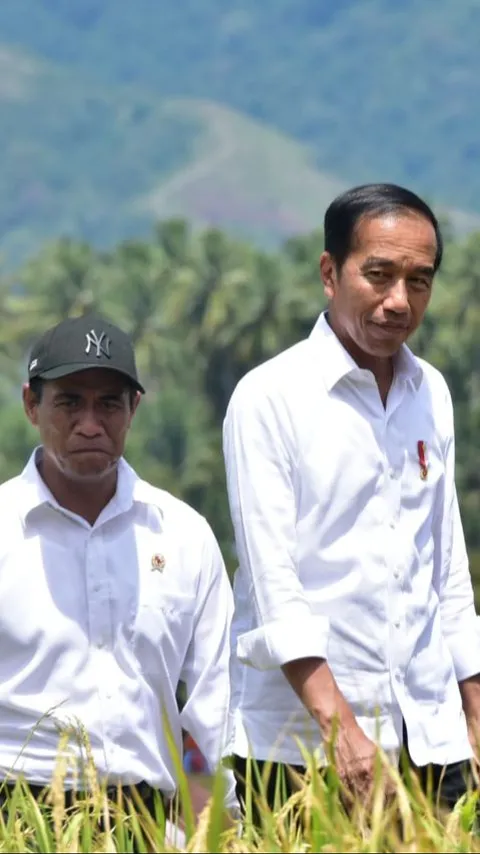Di Sulteng, Jokowi Apresiasi Gebrakan Mentan Lakukan Percepatan Tanam Padi
