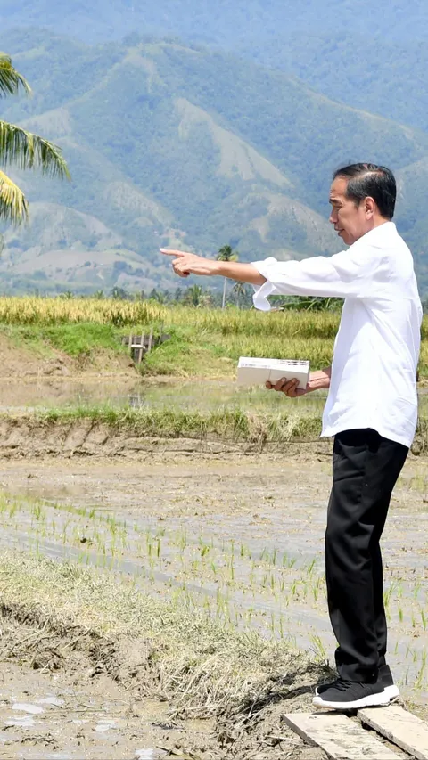 Diresmikan Jokowi, Proyek Sistem Irigasi Gumbasa Telan Dana Rp256 Miliar Bisa Mengairi Sawah 12 Desa
