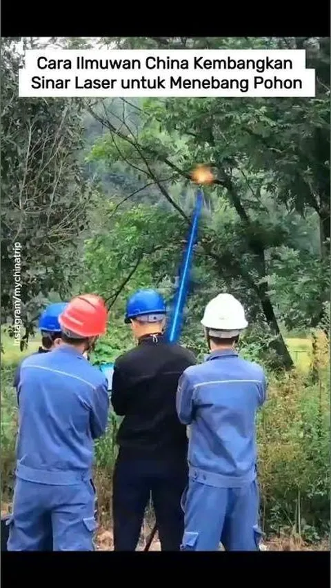 VIDEO: Cara Ilmuwan China Kembangkan Sinar Laser untuk Menebang Pohon
