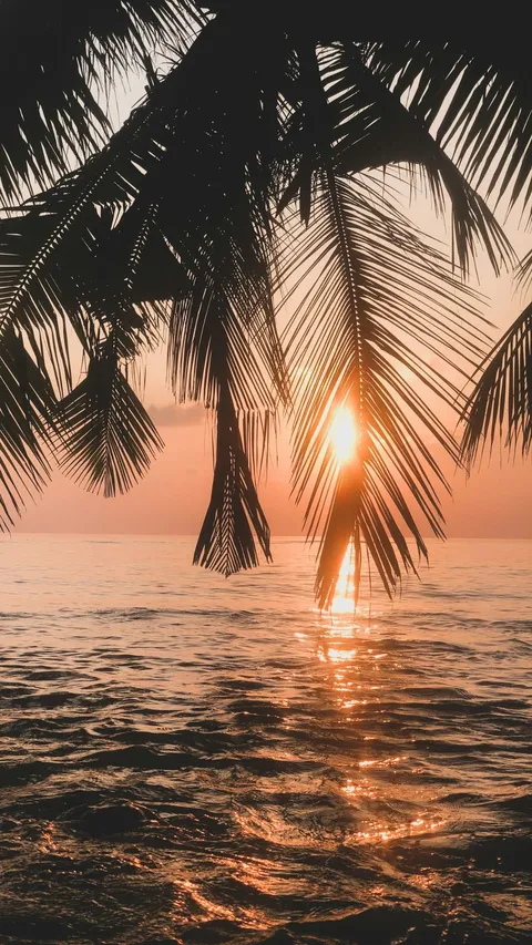 90 Kata-kata Senja di Pantai yang Aesthetic, Keren, dan Cocok untuk Caption Instagram