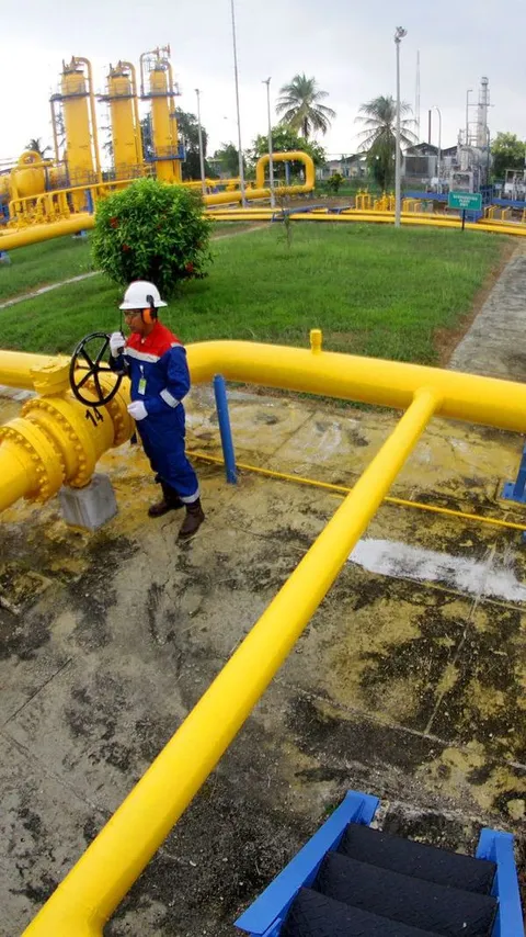 Gas Bumi Jadi Aset Strategis Perkuat Ketahanan Energi, Termasuk di IKN Nusantara