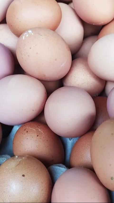 Ayam dan Telur Jadi Biang Kerok Inflasi Maret 2024