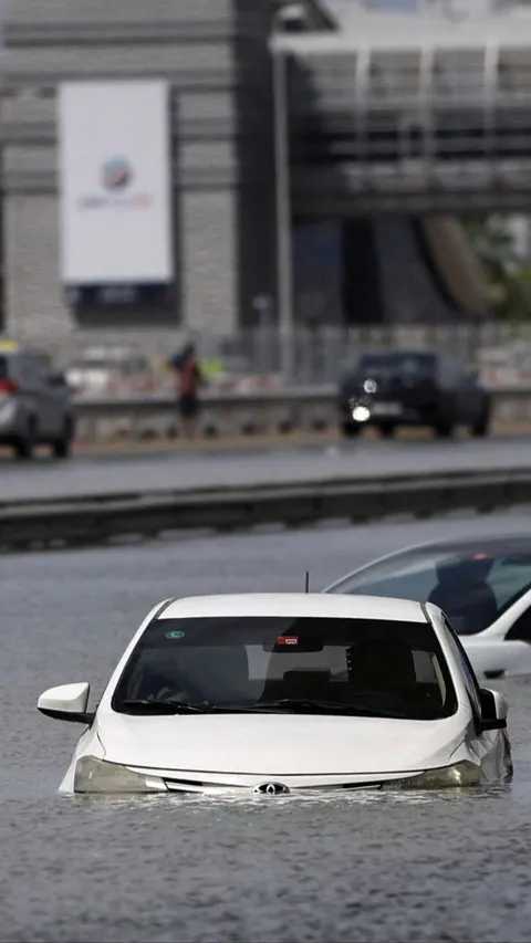VIDEO Detik-Detik Seseorang Selamatkan Kucing Bergantung di Pintu Mobil Saat Banjir di Dubai