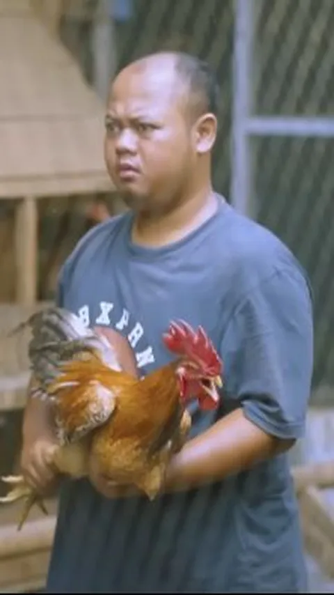 Resign di Dunia Pendidikan, Pria Ini Kini Sukses Berternak Ayam Kampung dan Buka Pelatihan