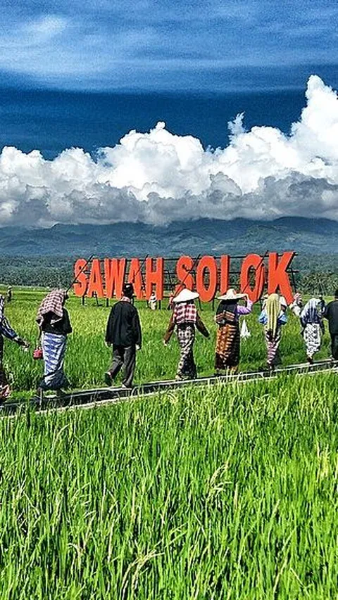 Terkenal Punya Beras Kualitas Unggulan, Ini Fakta Menarik Kota Solok di Sumatra Barat