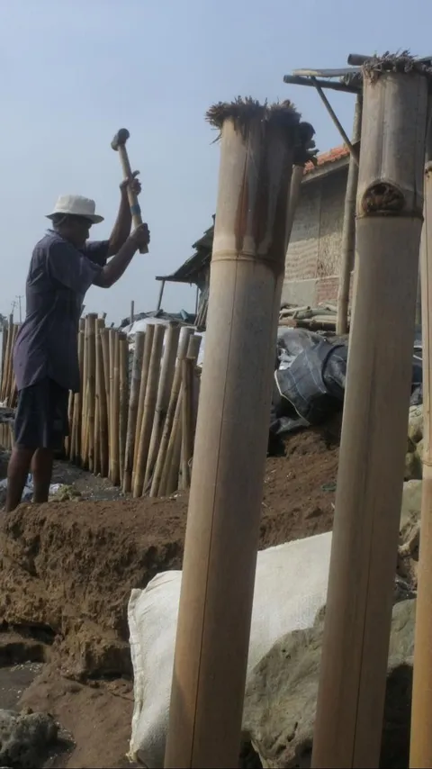 FOTO: Potret Pilu Korban Abrasi Laut: Kakek 80 Tahun Nekat Pertahankan Rumah dengan Harapan Bambu Dapat Menghalau Ombak Ganas Karawang