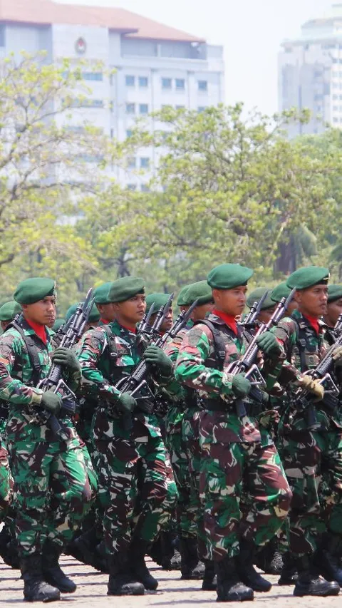 TNI Sebut KKB Jadi OPM: Kami Tidak Ragu Dalam Melangkah!
