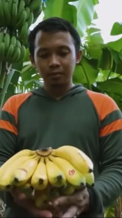 Cerita Petani Pisang Pernah Sedekahkan Hasil Panen Sebanyak 1 Ton, Ternyata Jadi Jalan Pembuka Rezeki