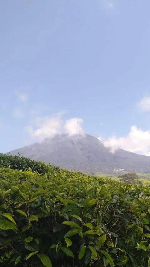 Gunung Api Dempo Pagaralam Erupsi Lagi, Semburkan Abu Sejauh 300 M