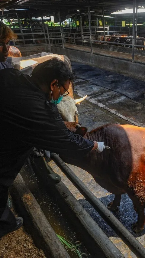 Kemenag Gandeng LDII Jakarta Latih Ratusan Juleha untuk Penyembelihan Hewan Kurban