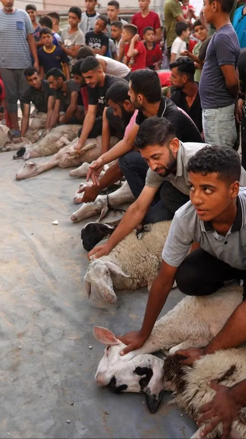 FOTO: Di Tengah Kekhawatiran Serangan Israel, Warga Palestina di Gaza Rayakan Iduladha dengan Berkurban Domba