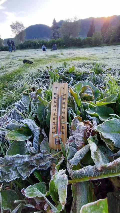 Suhu Mencapai Minus Satu Derajat Celsius, Begini Kondisi Dieng yang Kembali Membeku