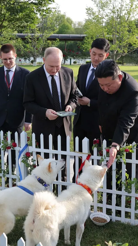 FOTO: Lucunya Sepasang Anjing Pungsan yang Dihadiahkan Kim Jong-un kepada Putin