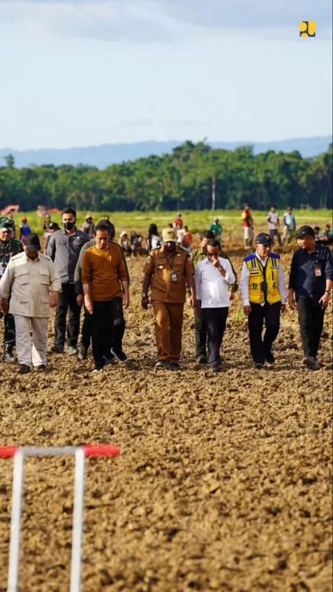 Jokowi Cari Investor untuk Proyek Food Estate