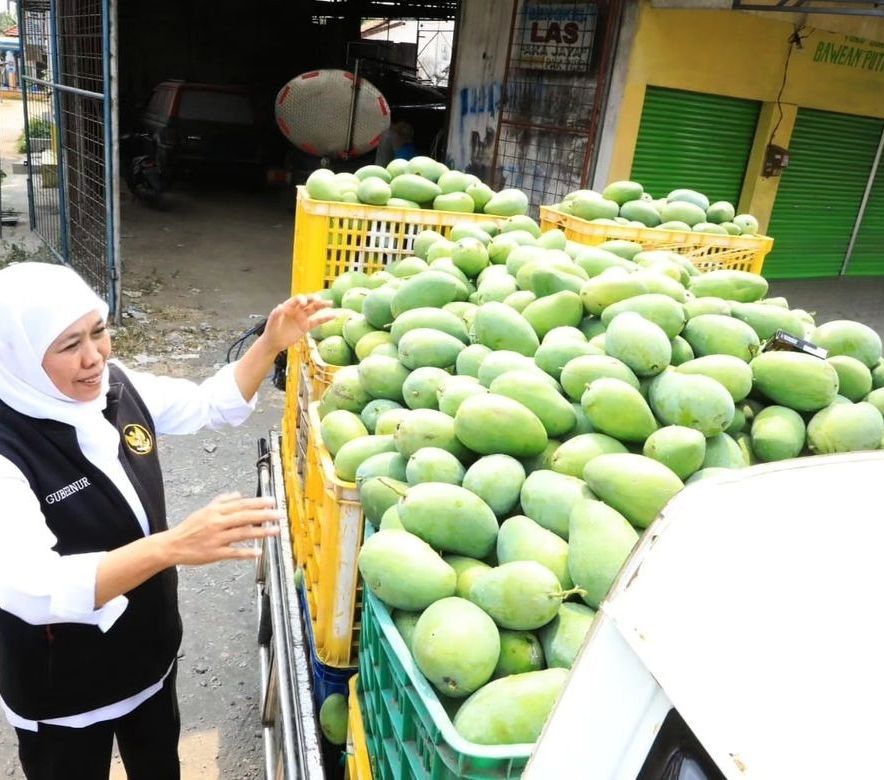 Punya Cita Rasa Unik, Begini Sensasi Mencicipi Mangga Khas Jawa Timur