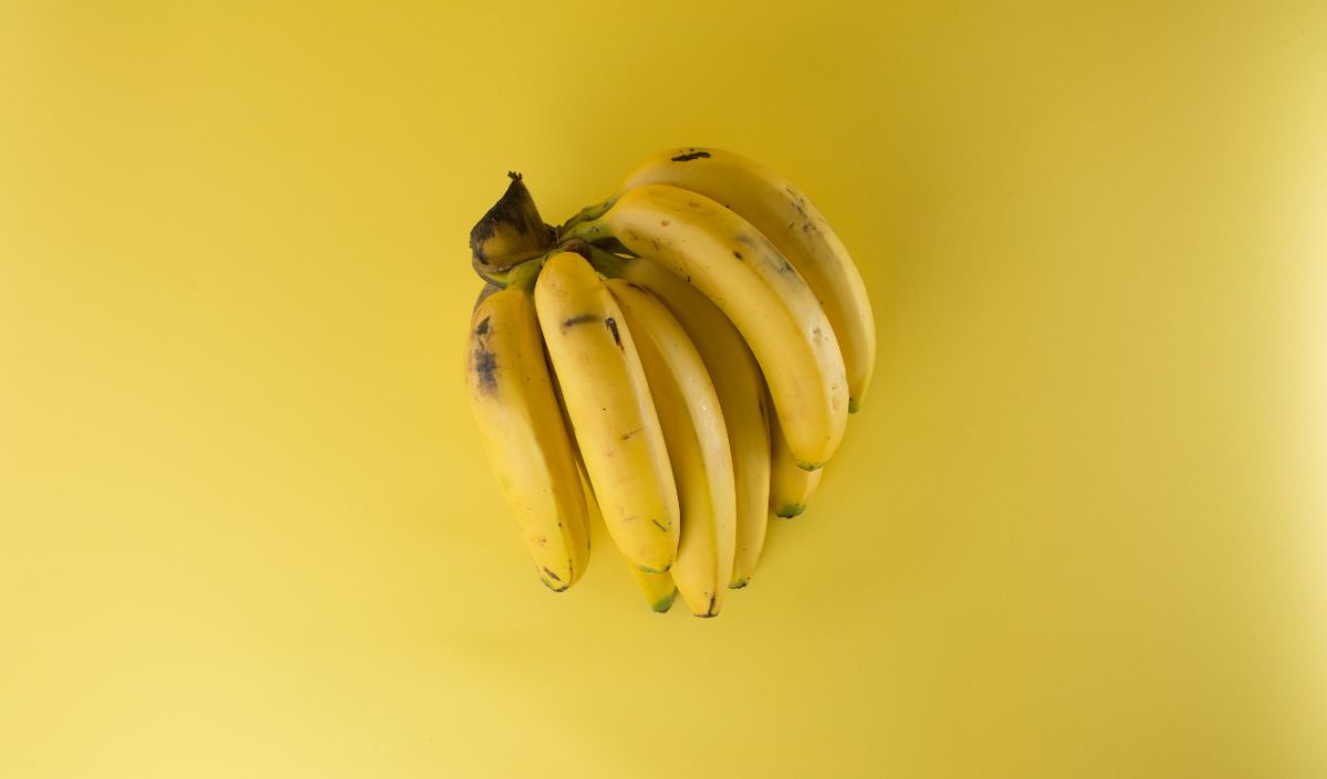 Pisang