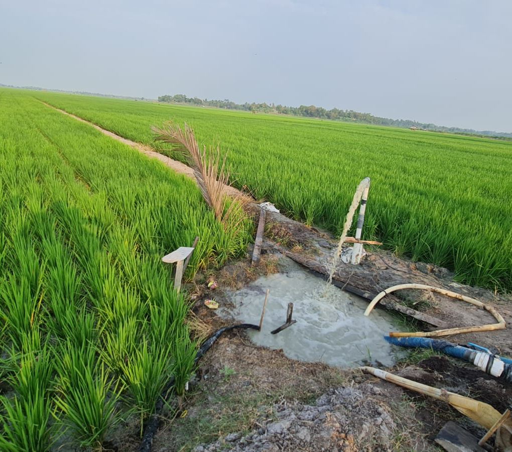 Jaga Produksi Pangan Dampak El Nino, Bupati Ipuk Intruksikan Dinas ...