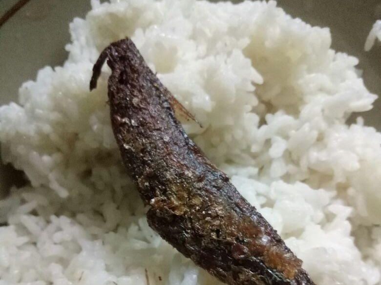 Makanan Paling Lezat