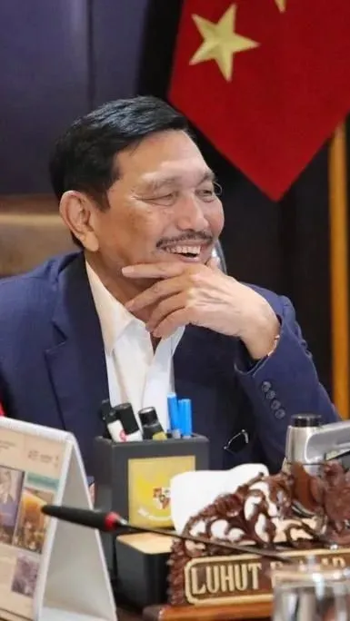 Luhut Dirawat Di Singapura, Jokowi Tunjuk Erick Thohir Jadi Menko ...